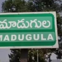 Madgula
